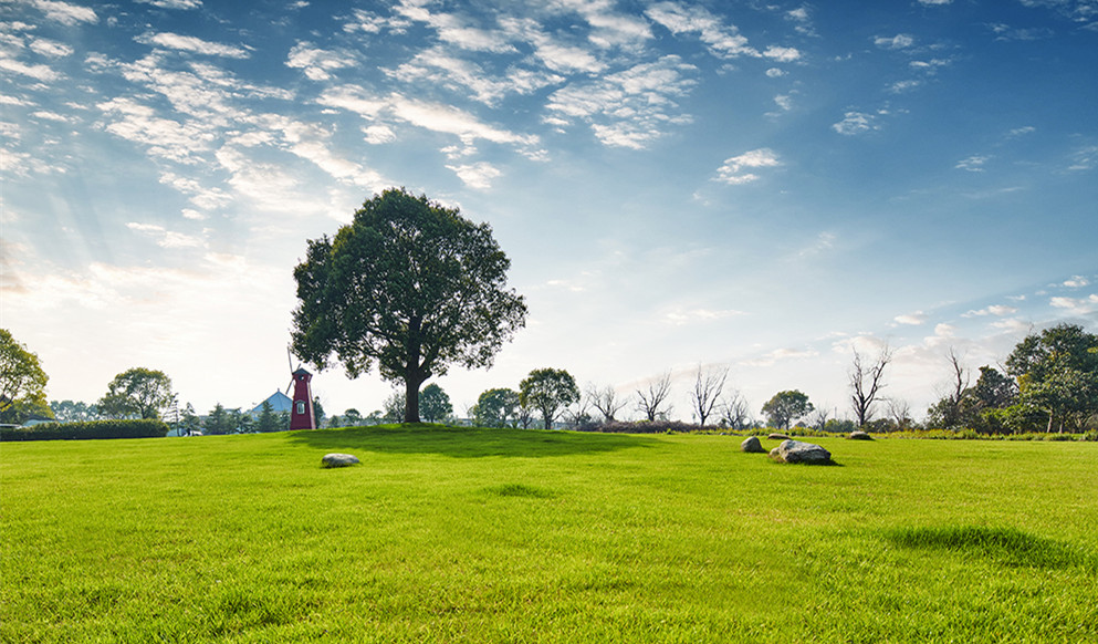 1570699613547967qRDP.jpg 5_副本.jpg